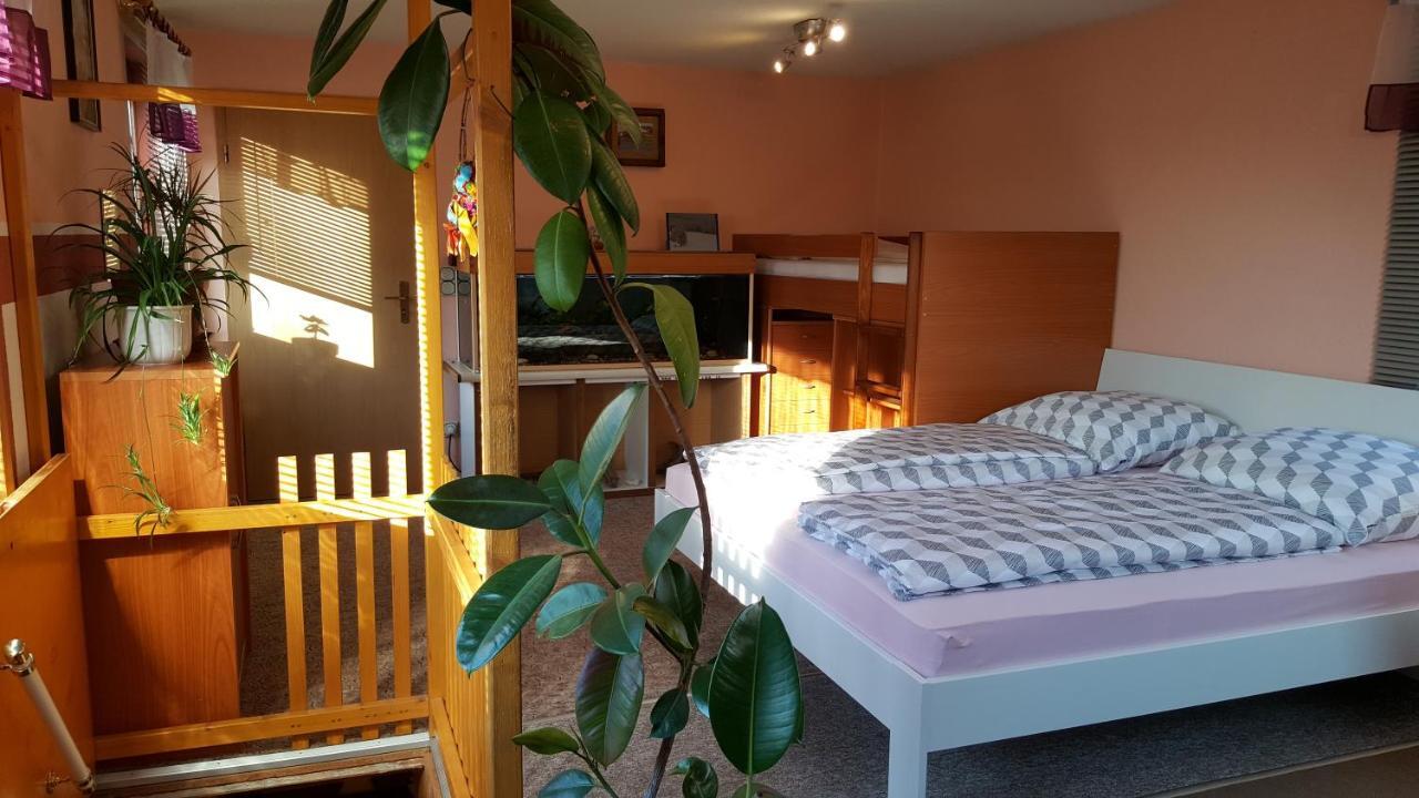Ferienhaus Am Kirchberg Kurort Steinbach-Hallenberg Zewnętrze zdjęcie